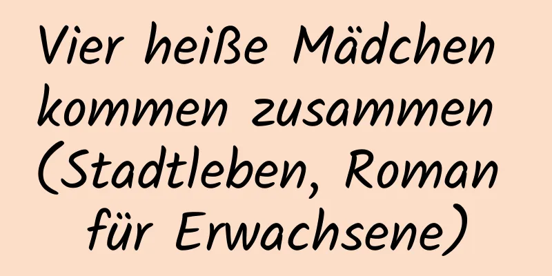 Vier heiße Mädchen kommen zusammen (Stadtleben, Roman für Erwachsene)