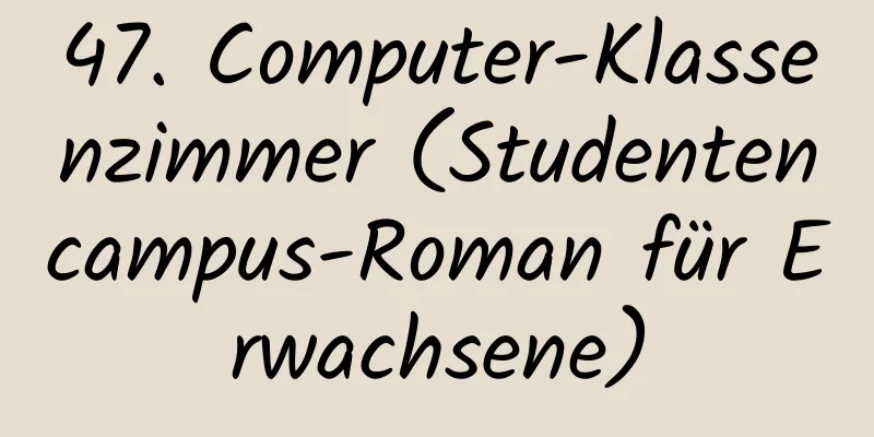 47. Computer-Klassenzimmer (Studentencampus-Roman für Erwachsene)