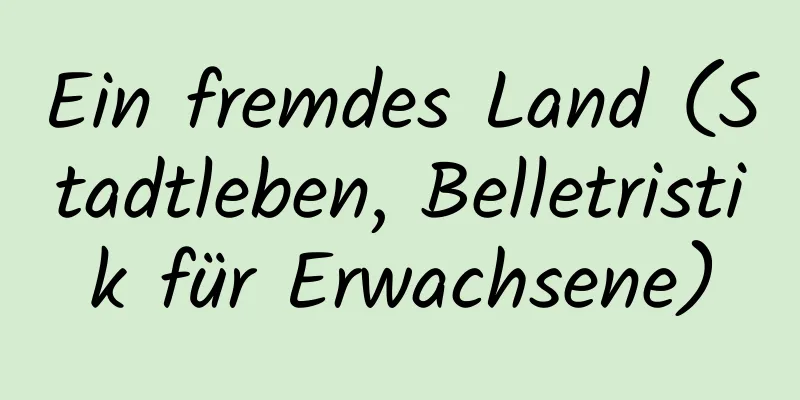 Ein fremdes Land (Stadtleben, Belletristik für Erwachsene)