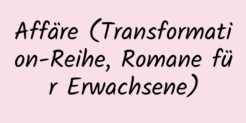 Affäre (Transformation-Reihe, Romane für Erwachsene)