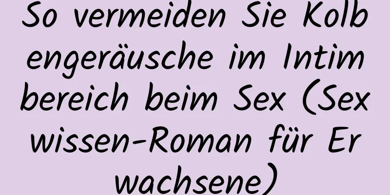 So vermeiden Sie Kolbengeräusche im Intimbereich beim Sex (Sexwissen-Roman für Erwachsene)