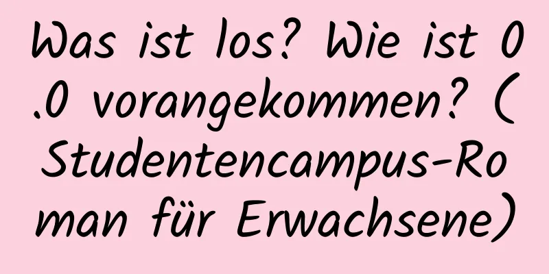 Was ist los? Wie ist 0.0 vorangekommen? (Studentencampus-Roman für Erwachsene)