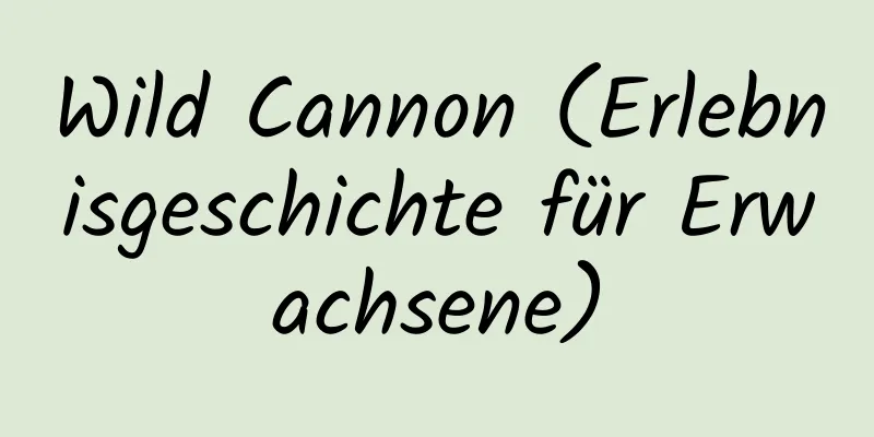 Wild Cannon (Erlebnisgeschichte für Erwachsene)