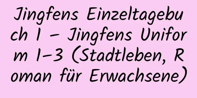 Jingfens Einzeltagebuch 1 – Jingfens Uniform 1–3 (Stadtleben, Roman für Erwachsene)