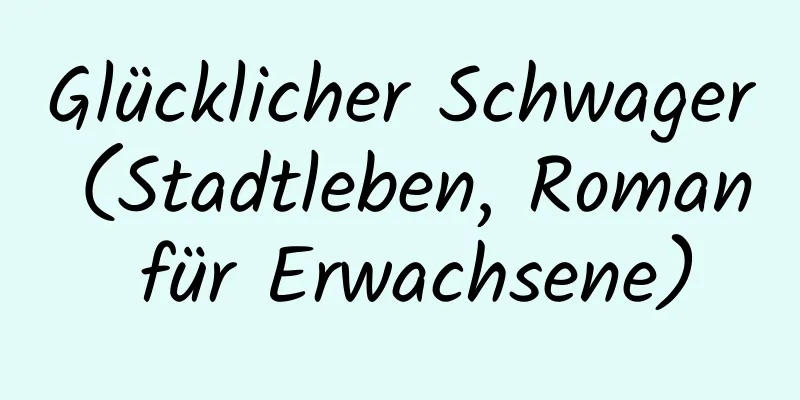 Glücklicher Schwager (Stadtleben, Roman für Erwachsene)