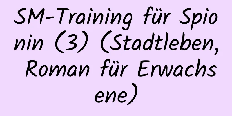 SM-Training für Spionin (3) (Stadtleben, Roman für Erwachsene)