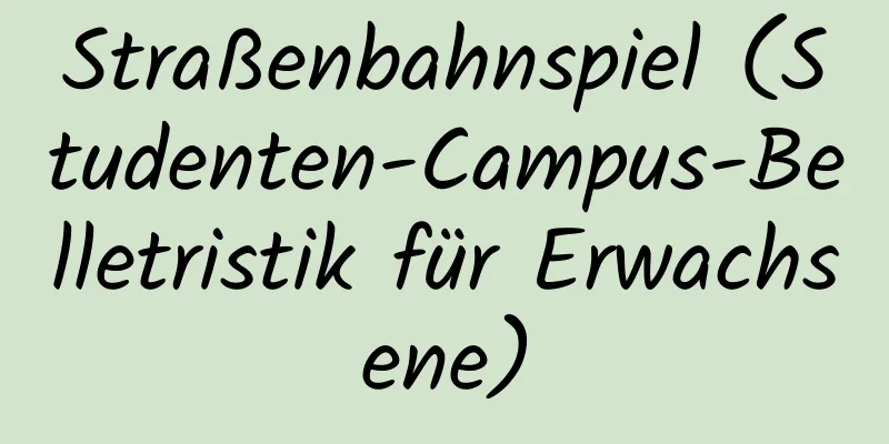 Straßenbahnspiel (Studenten-Campus-Belletristik für Erwachsene)