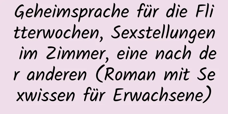 Geheimsprache für die Flitterwochen, Sexstellungen im Zimmer, eine nach der anderen (Roman mit Sexwissen für Erwachsene)