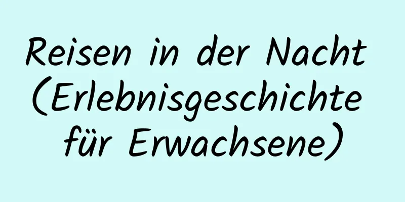 Reisen in der Nacht (Erlebnisgeschichte für Erwachsene)