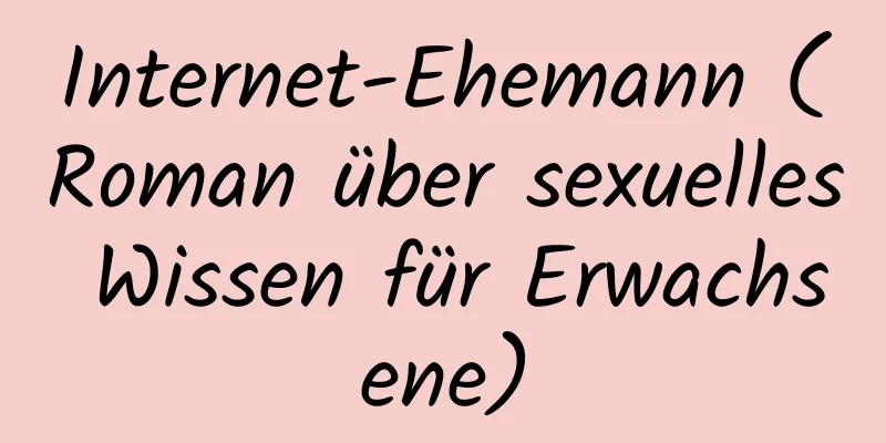 Internet-Ehemann (Roman über sexuelles Wissen für Erwachsene)