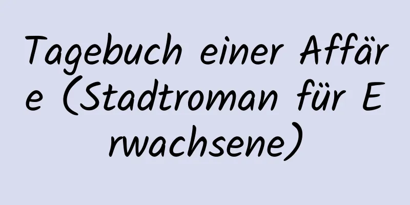 Tagebuch einer Affäre (Stadtroman für Erwachsene)