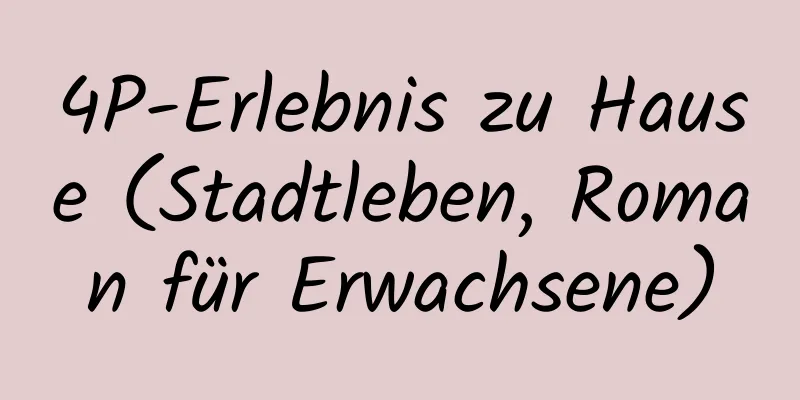 4P-Erlebnis zu Hause (Stadtleben, Roman für Erwachsene)