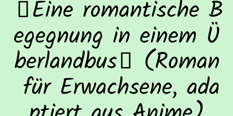 【Eine romantische Begegnung in einem Überlandbus】 (Roman für Erwachsene, adaptiert aus Anime)