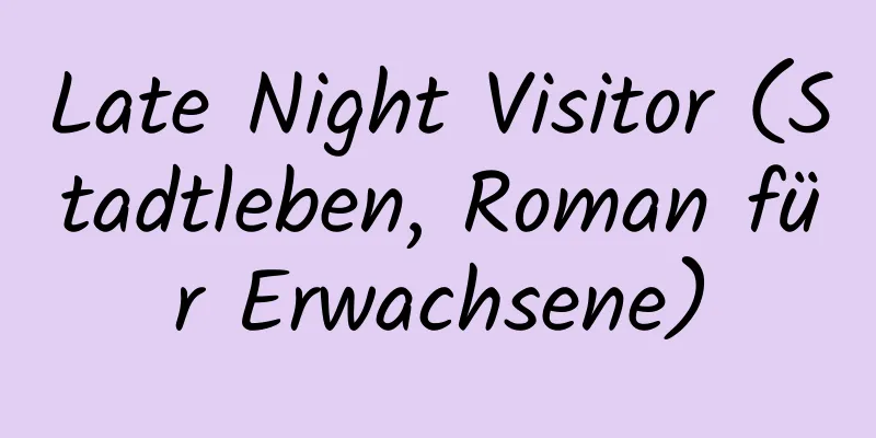 Late Night Visitor (Stadtleben, Roman für Erwachsene)