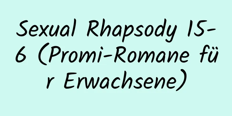 Sexual Rhapsody 15-6 (Promi-Romane für Erwachsene)