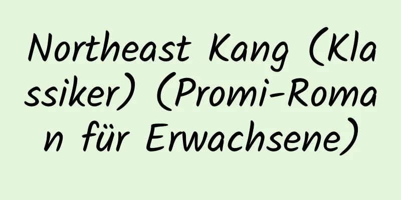 Northeast Kang (Klassiker) (Promi-Roman für Erwachsene)