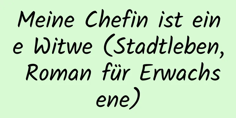 Meine Chefin ist eine Witwe (Stadtleben, Roman für Erwachsene)