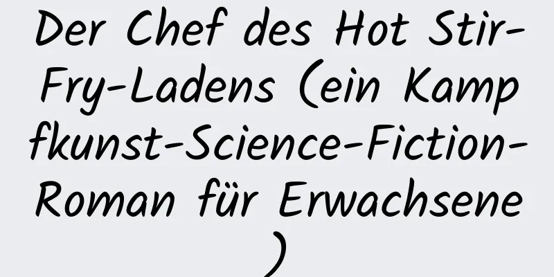 Der Chef des Hot Stir-Fry-Ladens (ein Kampfkunst-Science-Fiction-Roman für Erwachsene)