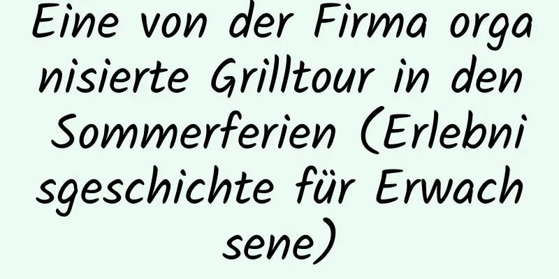 Eine von der Firma organisierte Grilltour in den Sommerferien (Erlebnisgeschichte für Erwachsene)