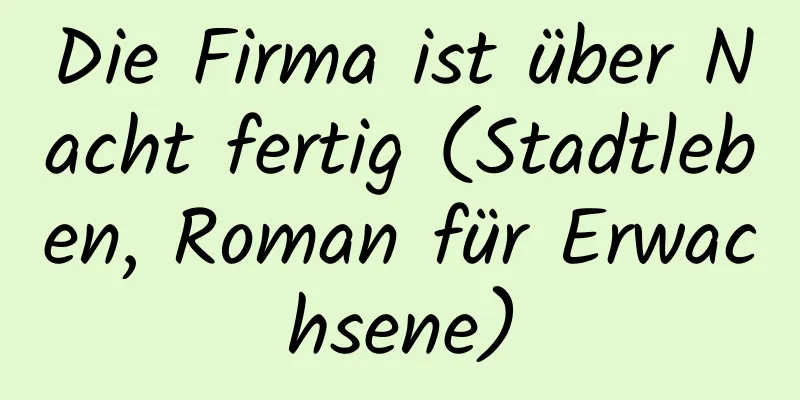 Die Firma ist über Nacht fertig (Stadtleben, Roman für Erwachsene)