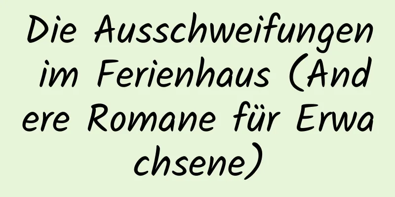 Die Ausschweifungen im Ferienhaus (Andere Romane für Erwachsene)