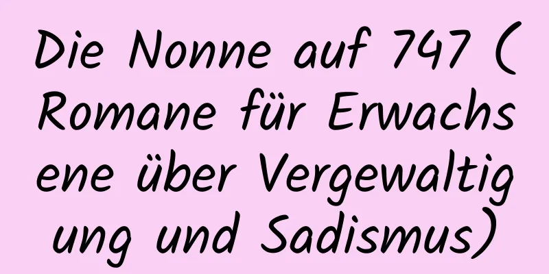 Die Nonne auf 747 (Romane für Erwachsene über Vergewaltigung und Sadismus)