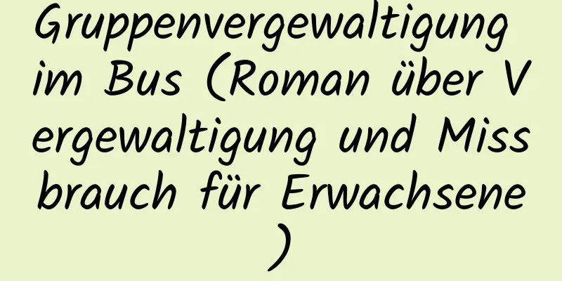 Gruppenvergewaltigung im Bus (Roman über Vergewaltigung und Missbrauch für Erwachsene)