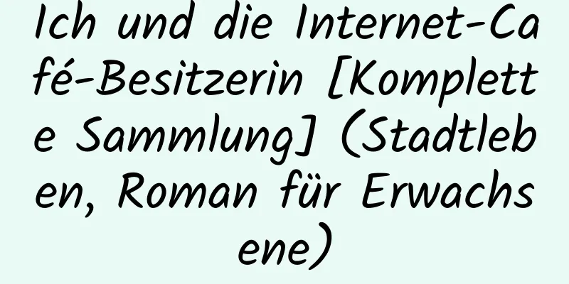 Ich und die Internet-Café-Besitzerin [Komplette Sammlung] (Stadtleben, Roman für Erwachsene)