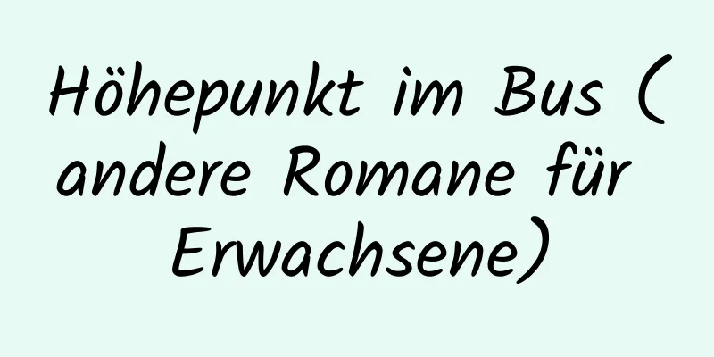 Höhepunkt im Bus (andere Romane für Erwachsene)