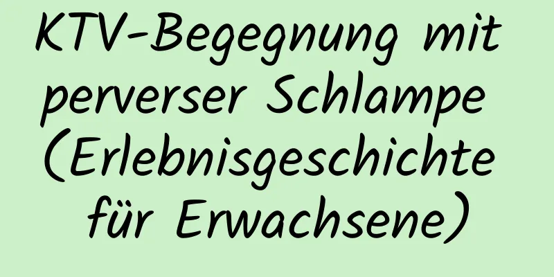 KTV-Begegnung mit perverser Schlampe (Erlebnisgeschichte für Erwachsene)