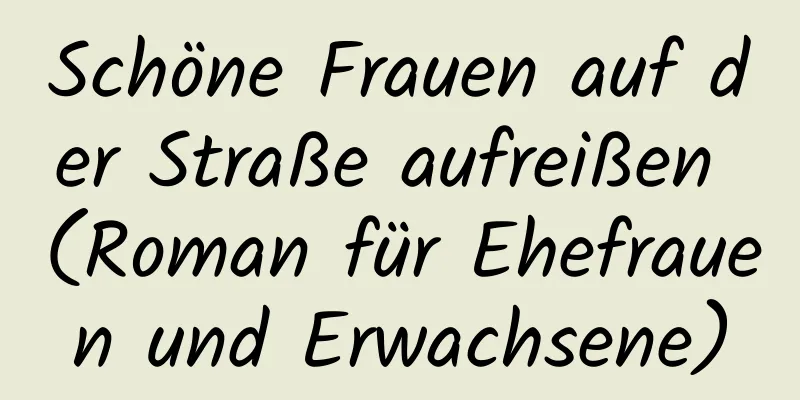 Schöne Frauen auf der Straße aufreißen (Roman für Ehefrauen und Erwachsene)