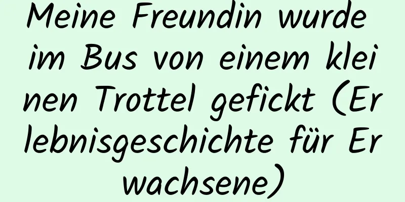 Meine Freundin wurde im Bus von einem kleinen Trottel gefickt (Erlebnisgeschichte für Erwachsene)