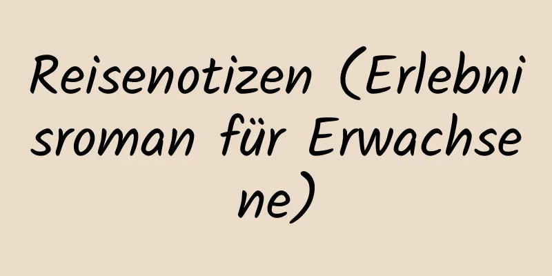 Reisenotizen (Erlebnisroman für Erwachsene)