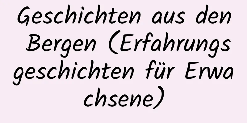 Geschichten aus den Bergen (Erfahrungsgeschichten für Erwachsene)