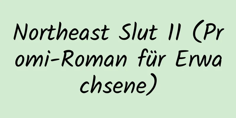 Northeast Slut 11 (Promi-Roman für Erwachsene)