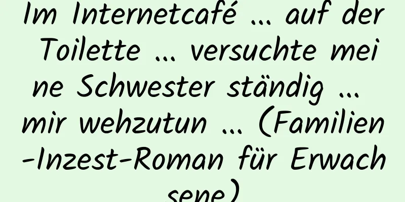 Im Internetcafé ... auf der Toilette ... versuchte meine Schwester ständig ... mir wehzutun ... (Familien-Inzest-Roman für Erwachsene)