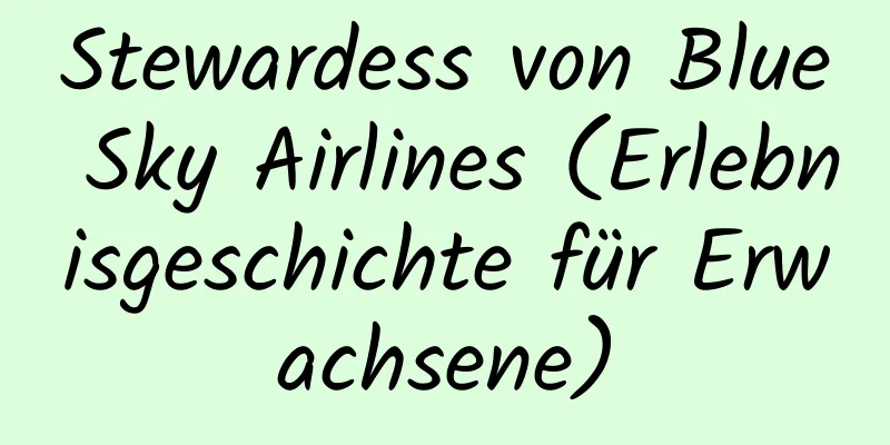 Stewardess von Blue Sky Airlines (Erlebnisgeschichte für Erwachsene)