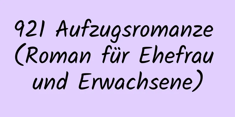 921 Aufzugsromanze (Roman für Ehefrau und Erwachsene)