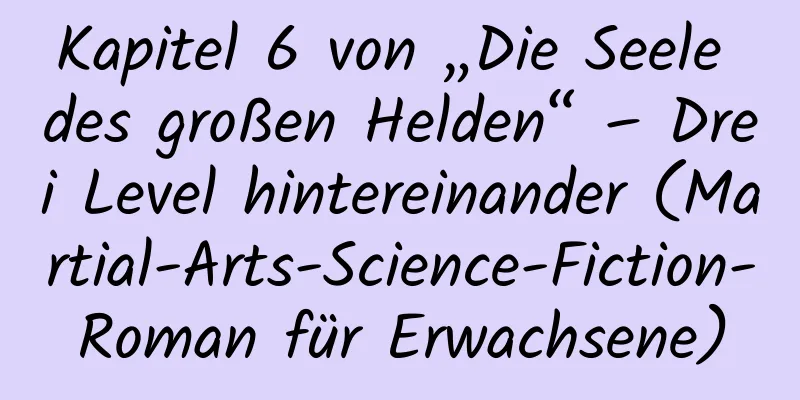 Kapitel 6 von „Die Seele des großen Helden“ – Drei Level hintereinander (Martial-Arts-Science-Fiction-Roman für Erwachsene)