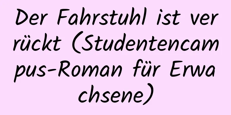 Der Fahrstuhl ist verrückt (Studentencampus-Roman für Erwachsene)