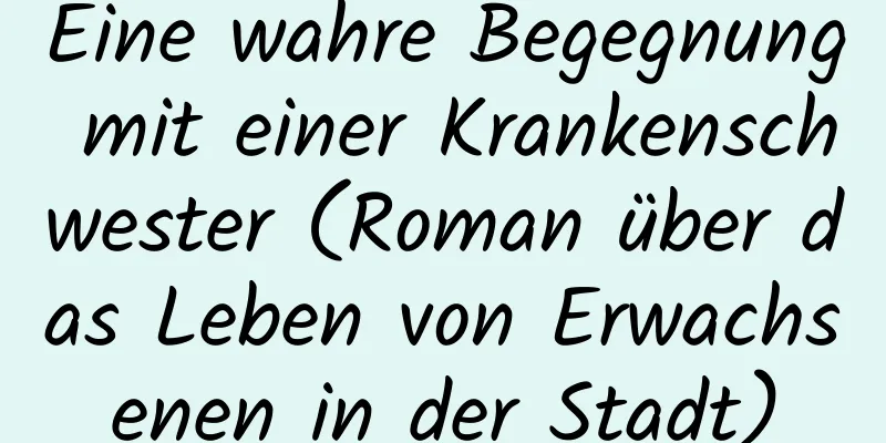 Eine wahre Begegnung mit einer Krankenschwester (Roman über das Leben von Erwachsenen in der Stadt)