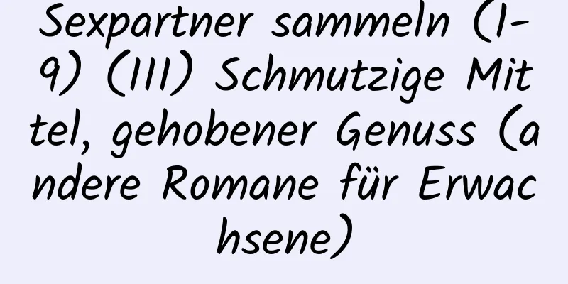 Sexpartner sammeln (1-9) (III) Schmutzige Mittel, gehobener Genuss (andere Romane für Erwachsene)