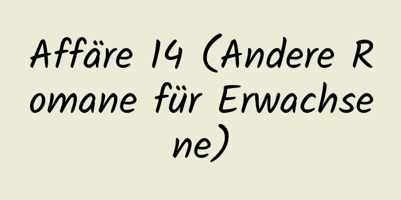 Affäre 14 (Andere Romane für Erwachsene)