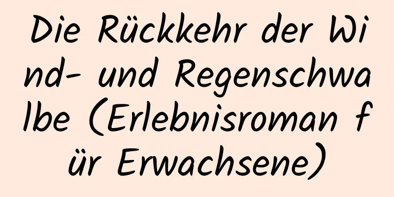 Die Rückkehr der Wind- und Regenschwalbe (Erlebnisroman für Erwachsene)