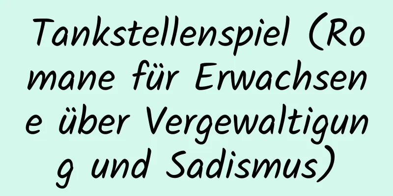 Tankstellenspiel (Romane für Erwachsene über Vergewaltigung und Sadismus)