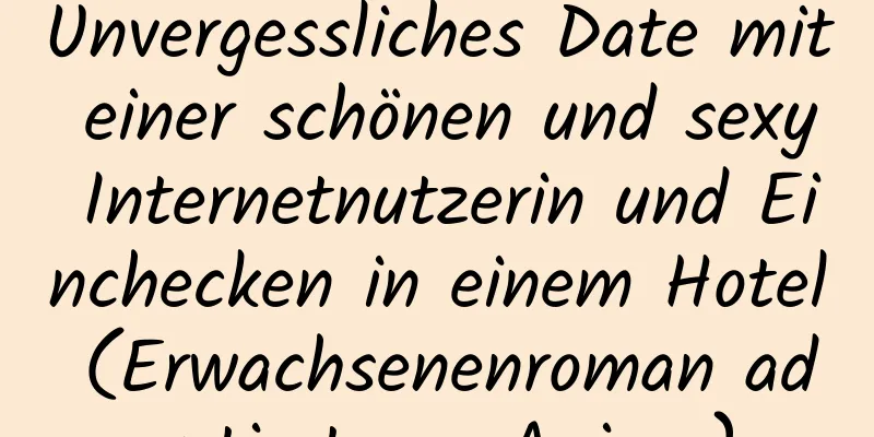 Unvergessliches Date mit einer schönen und sexy Internetnutzerin und Einchecken in einem Hotel (Erwachsenenroman adaptiert aus Anime)