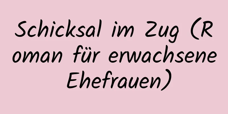 Schicksal im Zug (Roman für erwachsene Ehefrauen)