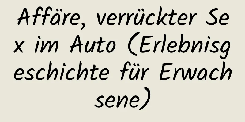 Affäre, verrückter Sex im Auto (Erlebnisgeschichte für Erwachsene)