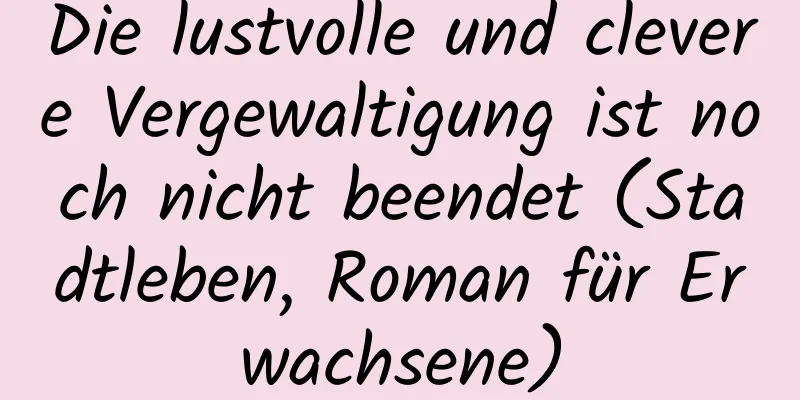 Die lustvolle und clevere Vergewaltigung ist noch nicht beendet (Stadtleben, Roman für Erwachsene)