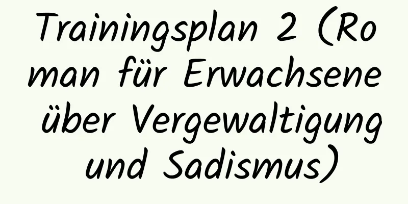 Trainingsplan 2 (Roman für Erwachsene über Vergewaltigung und Sadismus)